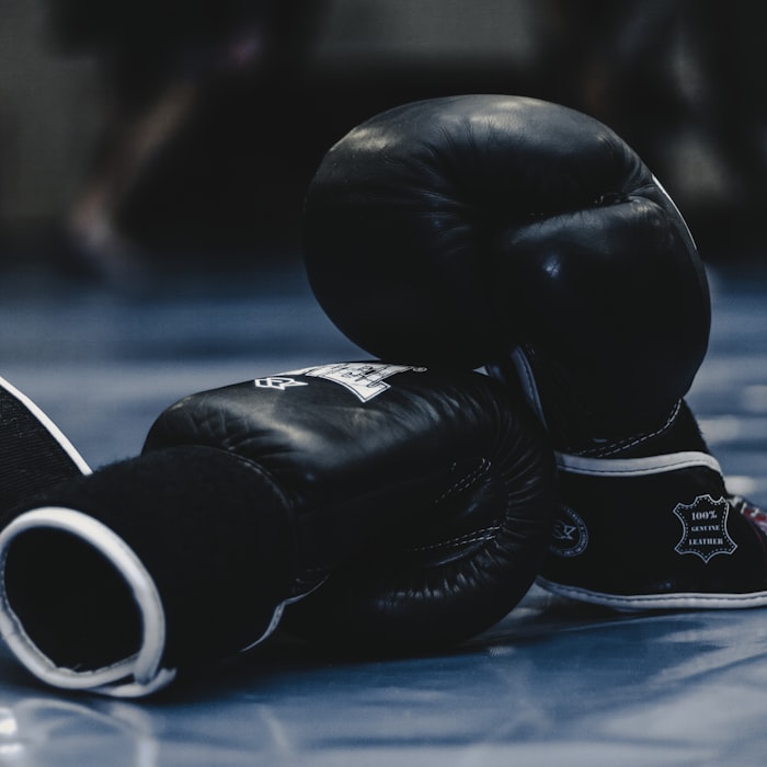 Guantes de boxeo